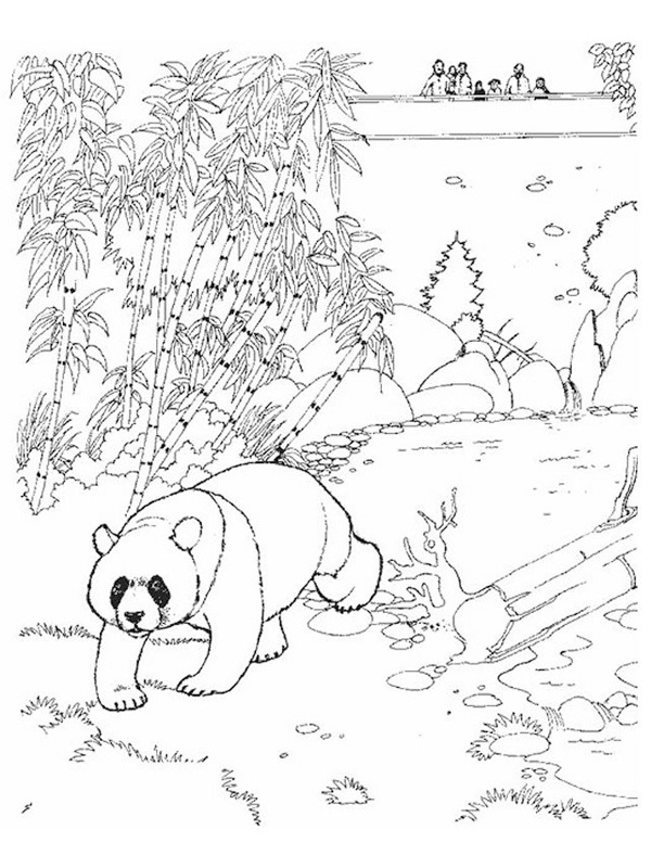 Urso panda no zoológico Desenho para Colorir Urso panda no zoológico Desenho para Colorir
