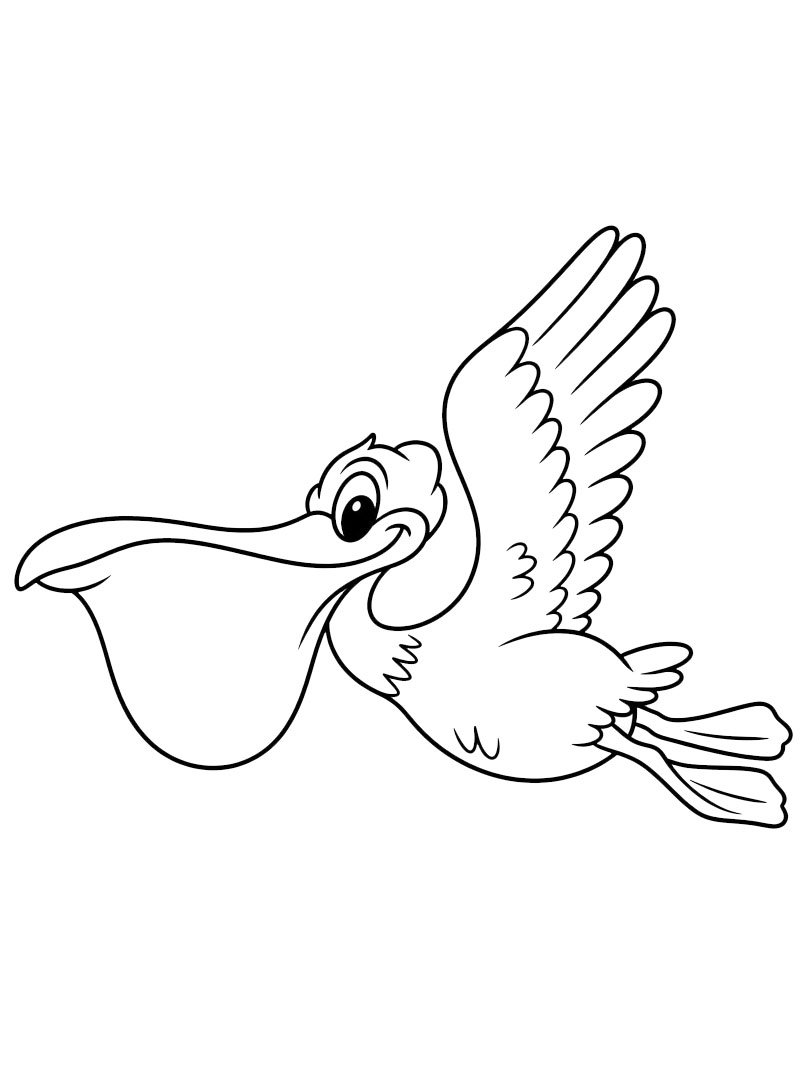 Pelicano Desenho para Colorir Pelicano Desenho para Colorir