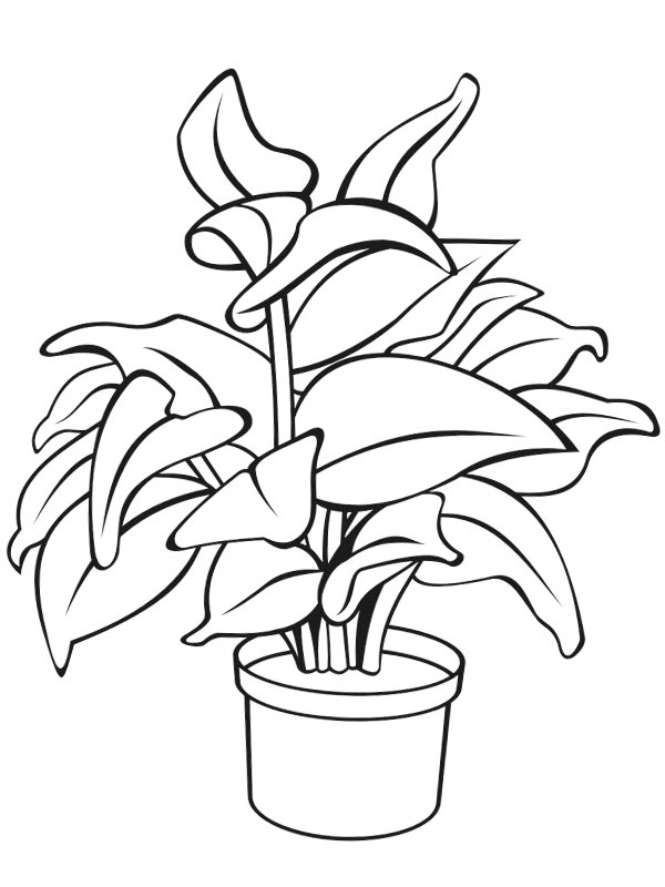 Vaso de planta Desenho para Colorir Vaso de planta Desenho para Colorir
