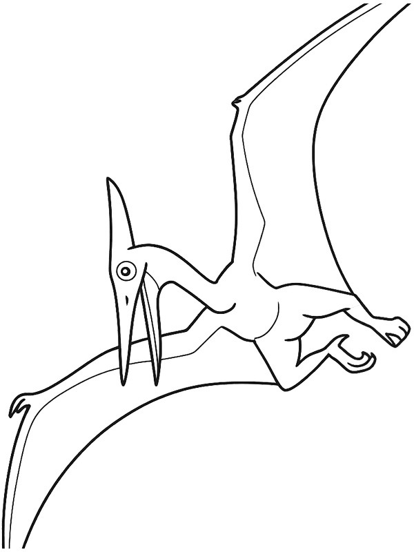 Pteranodonte Desenho para Colorir Pteranodonte Desenho para Colorir