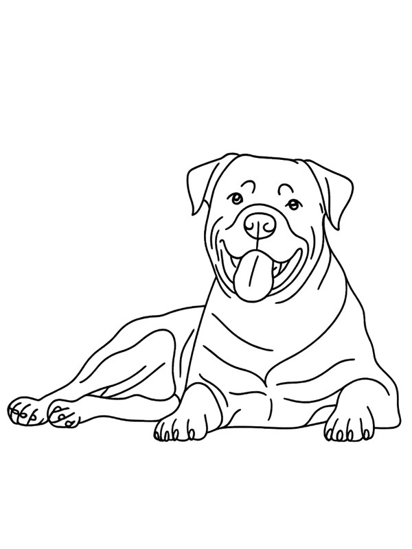Rottweiler Desenho para Colorir Rottweiler Desenho para Colorir