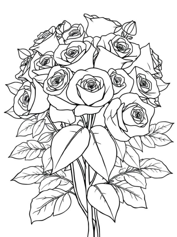 Buquê de rosas para adultos Desenho para Colorir Buquê de rosas para adultos Desenho para Colorir
