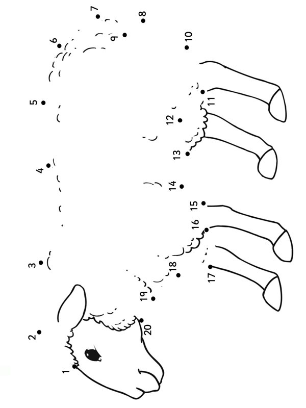 Ovelha, ligue os pontos Desenho para Colorir Ovelha, ligue os pontos Desenho para Colorir