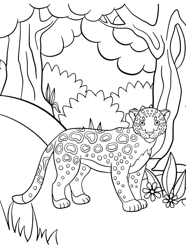 Leopardo fofinho Desenho para Colorir