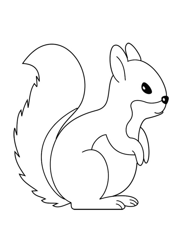 Esquilo fofo Desenho para Colorir Esquilo fofo Desenho para Colorir