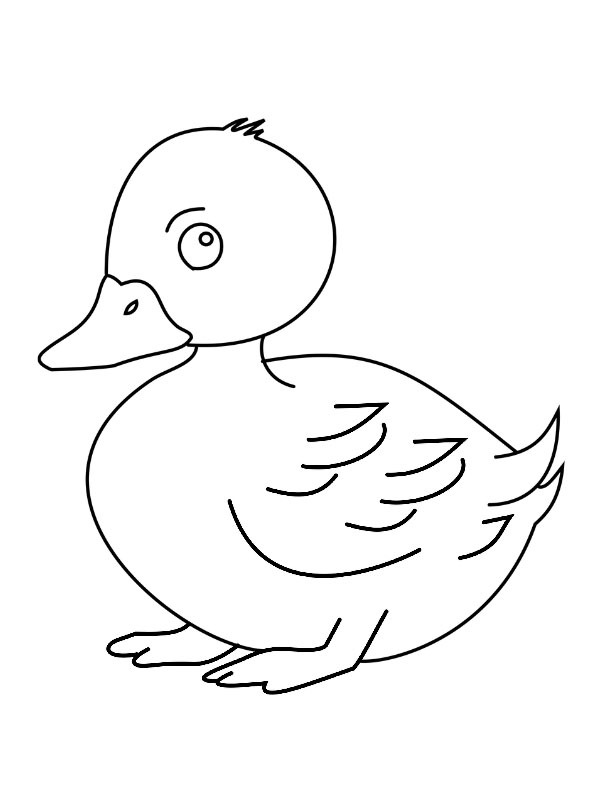 Pato fofo Desenho para Colorir Pato fofo Desenho para Colorir