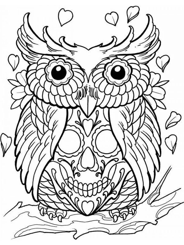 Coruja caveira Desenho para Colorir Coruja caveira Desenho para Colorir
