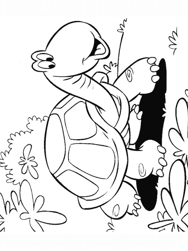 Tartaruga passeando Desenho para Colorir Tartaruga passeando Desenho para Colorir