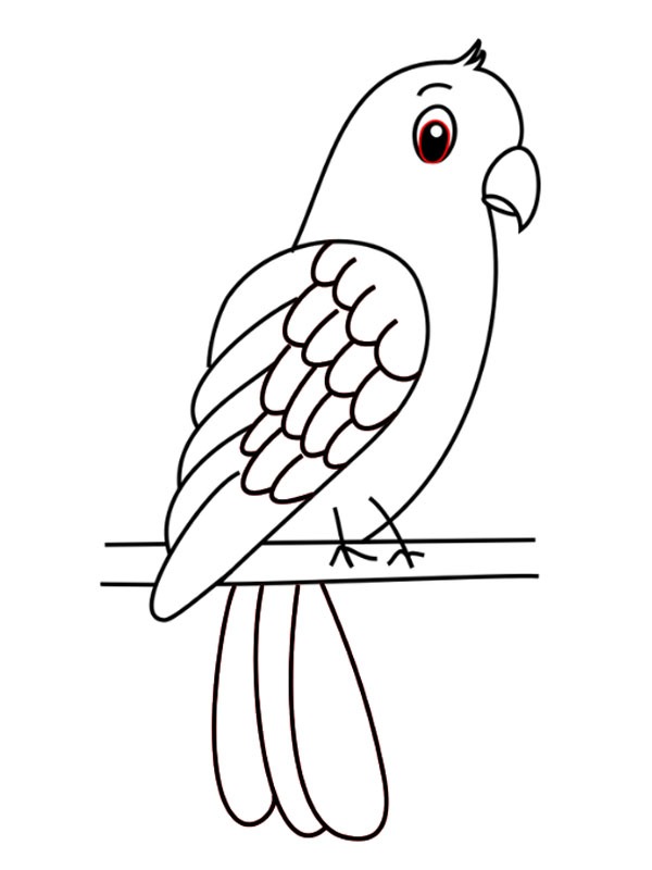 Papagaio simples Desenho para Colorir Papagaio simples Desenho para Colorir