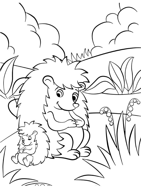 Ouriços-cacheiros dormindo Desenho para Colorir Ouriços-cacheiros dormindo Desenho para Colorir
