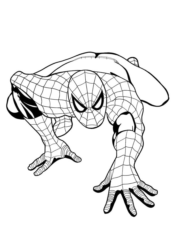 Homem-Aranha engatinhando Desenho para Colorir Homem-Aranha engatinhando Desenho para Colorir