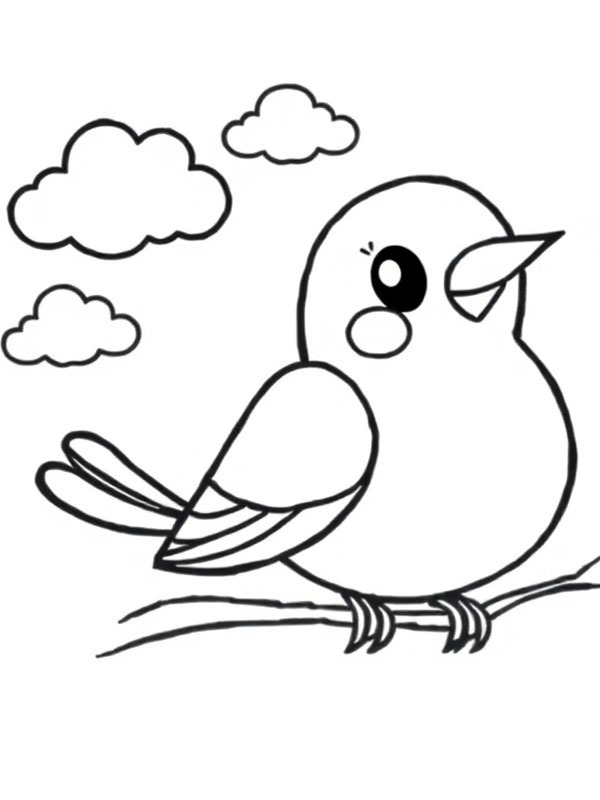 Estorninho Desenho para Colorir Estorninho Desenho para Colorir