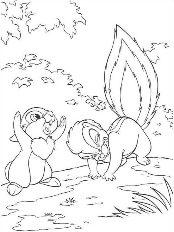 Tambor e o gambá Flor Desenho para Colorir Tambor e o gambá Flor Desenho para Colorir