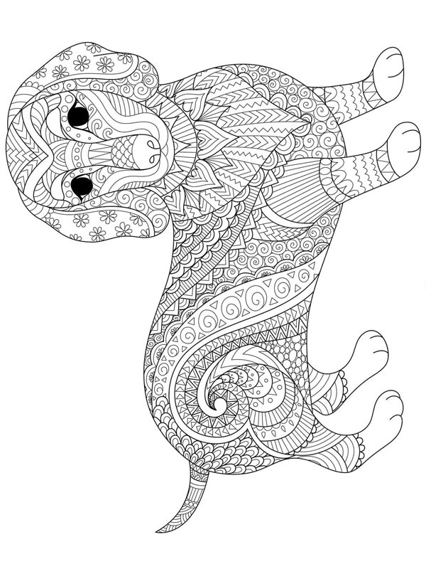 Dachshund para adultos Desenho para Colorir Dachshund para adultos Desenho para Colorir