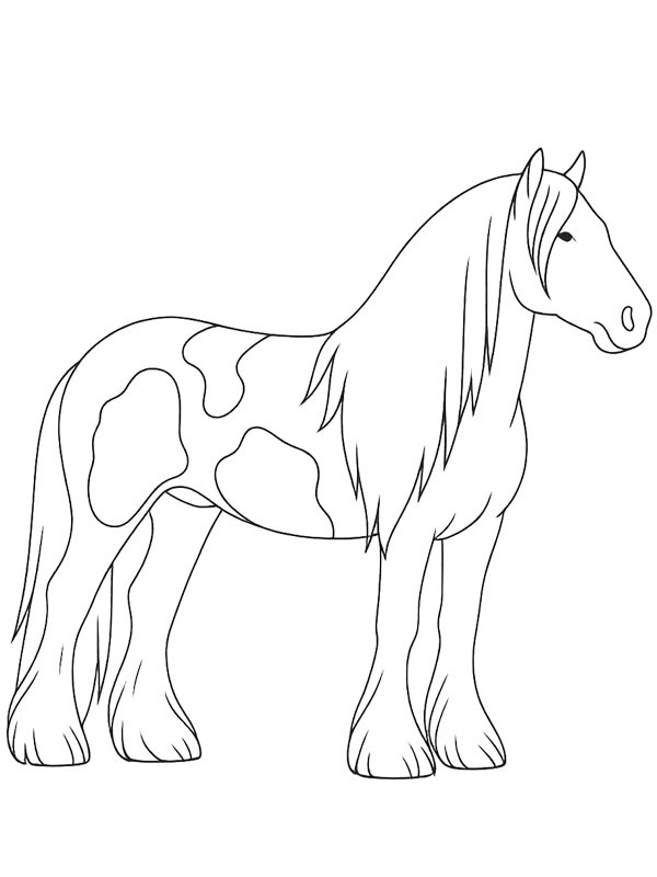 Cavalo Tinker Desenho para Colorir Cavalo Tinker Desenho para Colorir