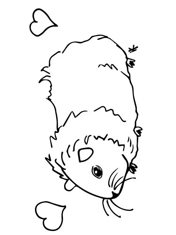 Porquinho-da-índia apaixonado Desenho para Colorir Porquinho-da-índia apaixonado Desenho para Colorir