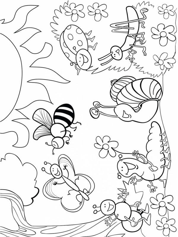 Vários insetos Desenho para Colorir Vários insetos Desenho para Colorir