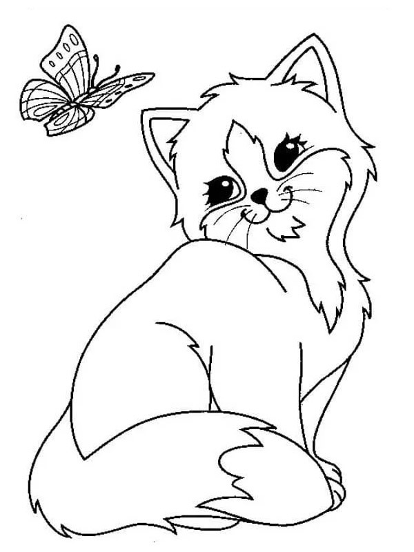 Borboleta e gatinho Desenho para Colorir Borboleta e gatinho Desenho para Colorir