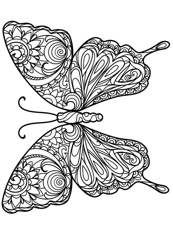Borboleta para adultos Desenho para Colorir Borboleta para adultos Desenho para Colorir