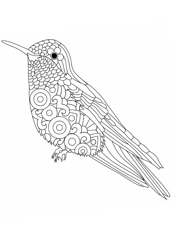 Mandala de pássaro Desenho para Colorir Mandala de pássaro Desenho para Colorir