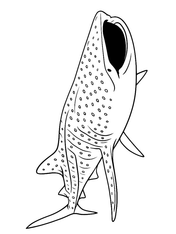Tubarão-baleia Desenho para Colorir Tubarão-baleia Desenho para Colorir
