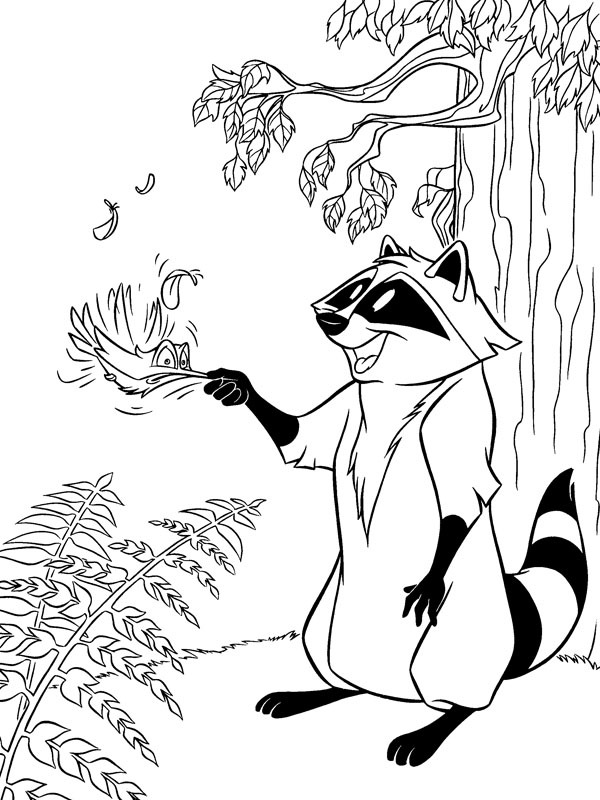 Guaxinim Meeko e o beija-flor Flit Desenho para Colorir Guaxinim Meeko e o beija-flor Flit Desenho para Colorir