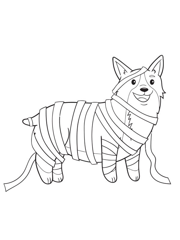 Cachorro corgi fantasiado de múmia Desenho para Colorir Cachorro corgi fantasiado de múmia Desenho para Colorir
