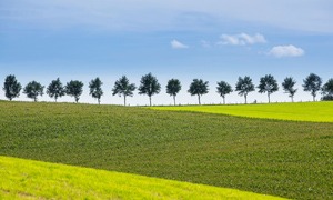 Paisagens