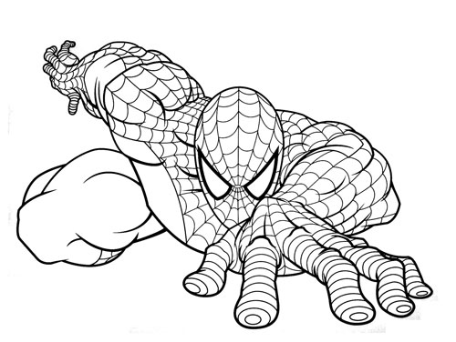 Desenho Homem Aranha Preparado para Atacar - Desenho para Colorir