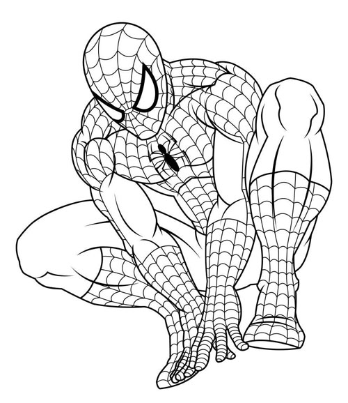 Desenho Homem Aranha Preparado para Atacar - Desenho para Colorir